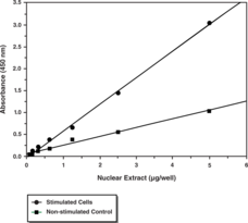 The NF-κB/Rel family of transcription factors is comprised of several structurally-related proteins that form homodimers and heterodimers and include p50/p105