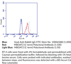 Immunogen: Peptide from the C-terminal region of human MBOAT2 •  Host: Rabbit • Species Reactivity: (+) Human MBOAT2 • Application(s): FC and IF