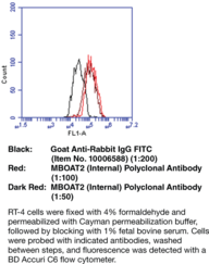 Immunogen: Human MBOAT2