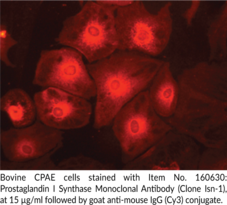 Immunogen:  bovine lung PGIS • Host:  mouse