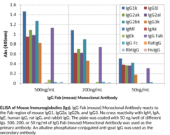 Immunogen: Mouse IgG • Host: Goat • Species Reactivity: (+) Mouse • Cross Reactivity: (+) Mouse IgG1