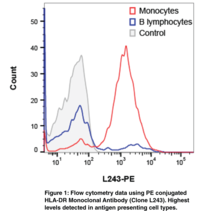 Immunogen: Human lymphoblastoid cell line (RPMI 8866) • Clone designation: L243 • Host: Mouse • Species Reactivity: (+) Human