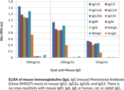 Immunogen: Mouse IgG • Host: Goat • Species Reactivity: (+) Mouse • Cross Reactivity: (+) Mouse IgG1