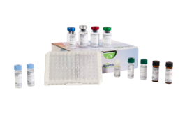 This immunoassay is based on a sandwich technique. Wells of supplied plate are coated with a monoclonal antibody specific to insulin. Insulin is introduced in the wells where it is bound by the monoclonal antibody coated on the plate. Insulin is then detected by an insulin-specific monoclonal antibody tagged with acetylcholinesterase (AChE). The two antibodies thus form a sandwich by binding on different epitopes of insulin.