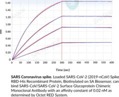 Immunogen: Recombinant SARS-CoV spike RBD protein • Host: Mouse • Species Reactivity: (+) SARS-CoV-2