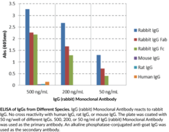 Immunogen: Rabbit IgG • Host: Goat • Species Reactivity: (+) Rabbit • Cross Reactivity: (-) Human