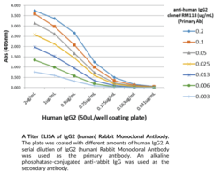 Immunogen: Human IgG2 • Host: Rabbit • Species Reactivity: (+) Human • Cross Reactivity: (-) Human IgA