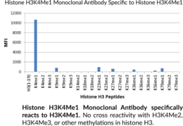Immunogen: Peptide corresponding to H3K4Me1 • Host: Rabbit • Species Reactivity: (+) Vertebrates • Cross Reactivity: (+) H3K4Me1; (-) Unmodified histone H3 (1-19)