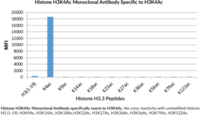 Immunogen: Peptide corresponding to H3K4Ac • Host: Rabbit • Species Reactivity: (+) Vertebrates • Cross Reactivity: (+) H3K4Ac; (-) Unmodified histone H3 (1-19)