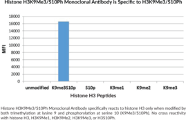 Immunogen: Peptide corresponding to H3K9Me3/S10Ph • Host: Rabbit • Species Reactivity: (+) Vertebrates • Cross Reactivity: (+) H3K9Me3/S10Ph; (-) Unmodified histone H3