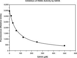 Cayman’s HDAC Cell-Based Assay provides an easy tool for studying HDAC activity modulators in whole cells. By using a cell-permeable HDAC substrate