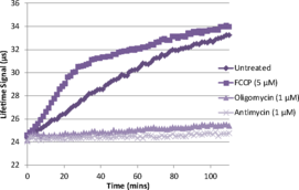 The oxygen consumption rate (OCR) of cells is an important indicator of normal cellular function. It is used as a parameter to study mitochondrial function as well as a marker of factors triggering the switch from healthy oxidative phosphorylation to aerobic glycolysis in cancer cells. Oxygen consumption is traditionally measured by a cumbersome oxygen electrode