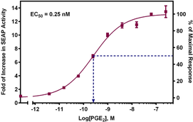 PGE2 is one of the most important biologically active prostanoids which exerts its actions mainly by binding to four distinct E-type prostanoid receptors: EP1