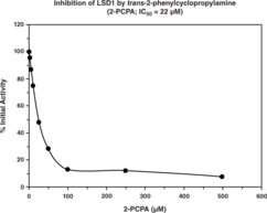 LSD1 is a histone demethylase whose actions on specific lysine residues alter transcription of chromosomal DNA. It also inhibits the tumor suppressor activity of p53 by demethylating a specific lysine residue. Inhibitors of LSD1 are important tools used to elucidate mechanisms of transcription and cell cycle progression and have therapeutic potential for treating cancer. Cayman’s LSD1 Inhibitor Screening Assay provides a convenient fluorescence-based method for screening LSD1-specific inhibitors. The assay is based on the multistep enzymatic reaction in which LSD1 first produces H2O2 during the demethylation of lysine 4 on a peptide corresponding to the first 21 amino acids of the N-terminal tail of histone H3. In the presence of horseradish peroxidase