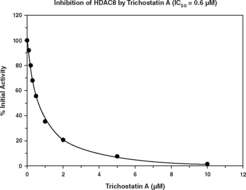 Human HDAC8 is a class I HDAC and has been identified in a variety of human cancer tissues. Cayman’s HDAC8 Inhibitor Screening Assay provides a convenient fluorescence-based method for screening HDAC8 inhibitors. The procedure requires only two easy steps