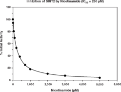 The sirtuins represent a distinct class of trichostatin A-insensitive lysyl-deacetylases (class III HDACs) that catalyze a reaction coupling lysine deacetylation to the formation of nicotinamide and O-acetyl-ADP-ribose. Cayman’s Direct Fluorescent Screening Assay Kits provide a convenient fluorescence-based method for screening SIRT inhibitors or activators. The procedure requires only two easy steps