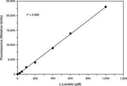 L(+)-Lactate is the major stereoisomer of lactate formed in human intermediary metabolism. The lactate to pyruvate ratio reflects the redox state of the cell and describes the balance between NAD+ and NADH