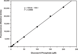 Glucose-6-phosphate (G6P) plays a key role in the homeostatic regulation of blood glucose levels by participating in glycolysis