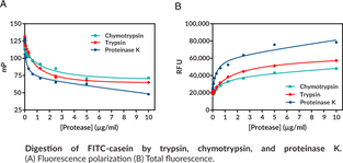 Cayman’s Protease Activity Assay Kit provides a convenient method for determining the activity of proteases in samples. Proteolytic digestion of the FITC-casein substrate can be monitored by changes in either fluorescence polarization (FP) or total fluorescence.{33943} Fluorescence is the ability of a molecule to absorb the energy of an incoming (excitation) photon and then re-emit this energy as a new