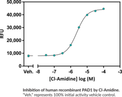 Cayman’s PAD1 Inhibitor Screening Assay Kit (AMC) provides a convenient method for screening human PAD1 inhibitors. This assay utilizes a fluorescent substrate (Z-Arg-AMC) consisting of an arginine residue