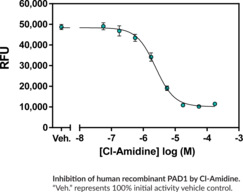 Cayman’s PAD1 Inhibitor Screening Assay Kit (Ammonia) provides a convenient method for screening human PAD1 inhibitors. PAD1 deiminates N-α-benzoyl-L-arginine ethyl ester (BAEE)