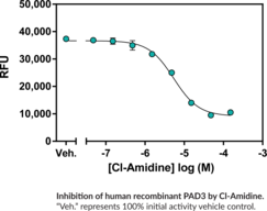 Cayman’s PAD3 Inhibitor Screening Assay Kit (Ammonia) provides a convenient method for screening human PAD3 inhibitors. PAD3 deiminates N-α-benzoyl-L-arginine ethyl ester (BAEE)