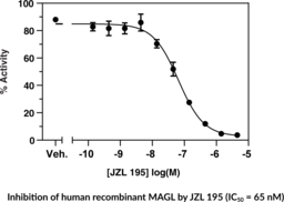 MAGL is the main enzyme responsible for the inactivation of 2-AG. Cayman’s Monoacylglycerol Lipase Inhibitor Screening Assay provides a convenient method for screening human MAGL inhibitors. MAGL hydrolyzes 4-nitrophenylacetate resulting in a yellow product