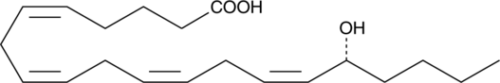 A minor CYP450 metabolite of arachidonic acid that stimulates vasodilation of rabbit kidney