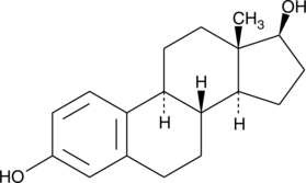 The major estrogen secreted by the premenopausal ovary