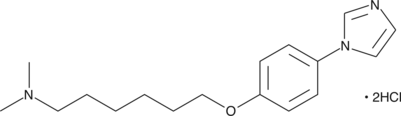 CAY10462 is the hydrochloride salt of CAY10434 and selective inhibitor of the 20-HETE synthase CYP4A11 exhibiting an IC50 of 8.8 nM when tested in human renal microsomes.{11807} CAY10434 is nearly 200 times less potent as an inhibitor of 1A