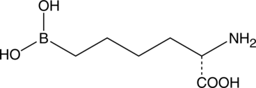 An inhibitor of arginase types I and II; inhibits arginase activity in homogenized opossum brain