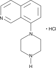 8-piperazin-1-yl-Isoquinoline (hydrochloride) is a synthetic intermediate useful for pharmaceutical synthesis.