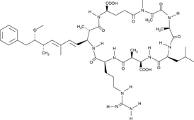 Microcystins are hepatotoxic cyclic heptapeptide toxins produced by cyanobacteria.{13247} They are responsible for periodic poisonings of humans and livestock drinking fresh water where the blue-green algae are endemic. Microcystin-LR is a selective inhibitor of PP2A (IC50= 0.04 nM) and will completely inhibit this enzyme without affecting PP1 when used at a concentration of 0.5 nM.{13248} The PP1 IC50 is about 1.7 nM. Microcystins are at least 10 times more potent as serine/threonine PP inhibitors than okadaic acid