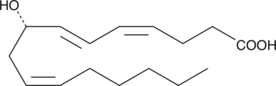 Major β-oxidation product resulting from peroxisomal metabolism of 12(S)-HETE