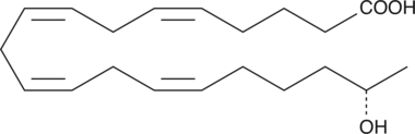 A major CYP450 metabolite of arachidonic acid that is released from the kidney in response to angiotensin II; a potent vasodilator of renal preglomerular vessels