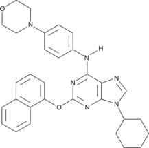 A 2