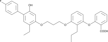 A potent antagonist of the LTB4 receptor