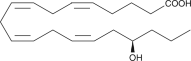 An isomer of a CYP450 metabolite of arachidonic acid that has no effect on proximal tubule ATPase activity.