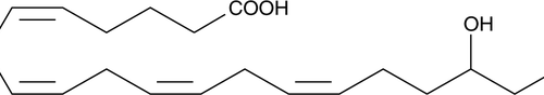 The racemic version of a CYP450 metabolite of arachidonic acid that dose-dependently stimulates vasodilation of the rabbit kidney