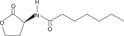 A small diffusible signaling molecule involved in quorum sensing