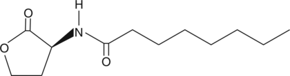 A small diffusible signaling molecule involoved in quorum sensing