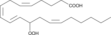 (±)12-HpETE is one of the six monohydroperoxy fatty acids produced by the non-enzymatic oxidation of arachidonic acid (Item No. 90010) and consists of an equal mixture of the R and S isomers. Reduction of the hydroperoxide yields the more stable hydroxyl fatty acid (±)12-HETE (Item No. 34550). The biological activity of (±)12-HpETE has not been documented.