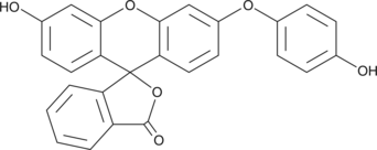 A cell-permeable aromatic amino-fluorescein derivative that can be oxidized and converted to fluorescein by ROS such as the hydroxyl radical