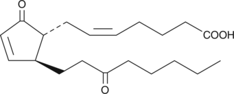 A product of the non-enzymatic dehydration of 13