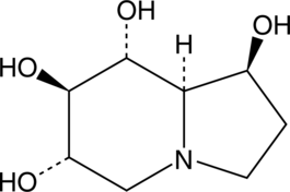 An inhibitor of both α- and β-glucosidases