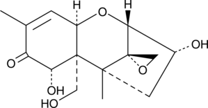 A natural type B trichothecene produced by certain species of the fungus Fusarium; inhibits protein biosynthesis