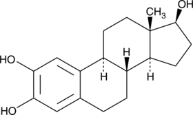 A CYP450 metabolite of estradiol with low affinity for estrogen receptors; rapidly metabolized to 2-ME2 with a half-life of approximately ten minutes in rat