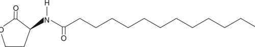 Bacterial quorum-sensing signaling molecule; possesses a rare odd-numbered acyl carbon chain and is produced by wild-type and mutant strains of Y. pseudotuberculosis in trace amounts