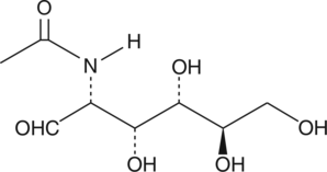 A monosaccharide derivative of glucose that is released by the action of O-GlcNAcase