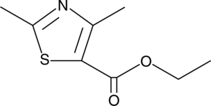 A highly functionalized and biased thiazole used as a heterocyclic building block to specifically modify lead compounds for drug discovery